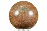 Polished Dinosaur Bone (Gembone) Sphere - Colorado #371251-1